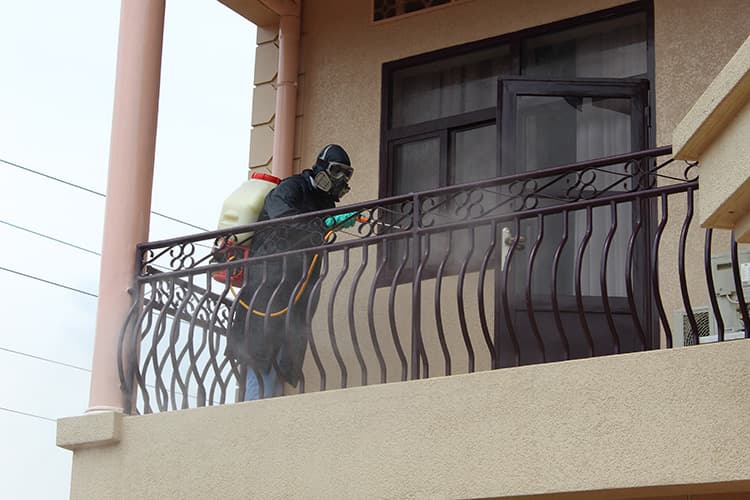 Pest management technician treating a building exterior
